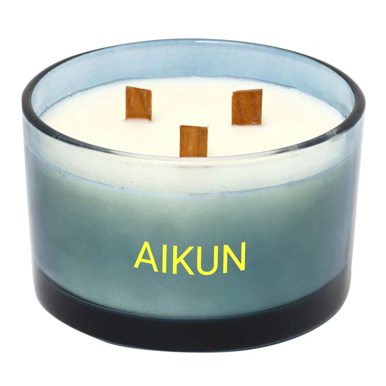 Creative Modern Circular Organic Wick Soy Wax Reusable Wholesale Plant Scented Candles Glass Jar