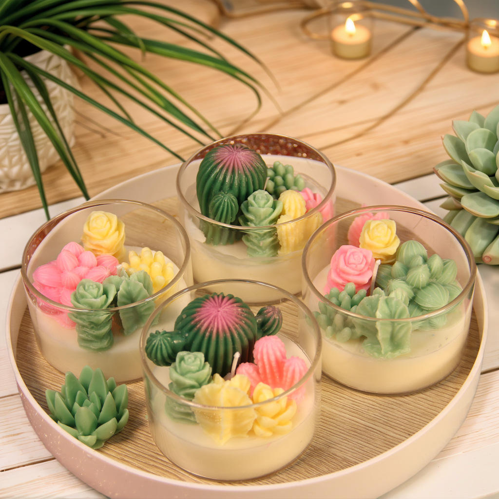 AIKUN Hot Selling Succulent Plant Cactus Scented Candle Glass Jar Bedroom Fragrance Decoration Creative Scented Candles